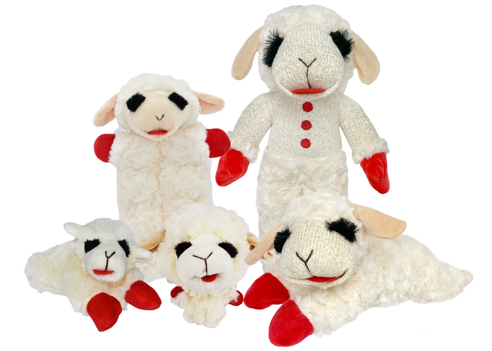 Image du produit